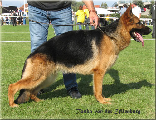 Toska von der ullenburg